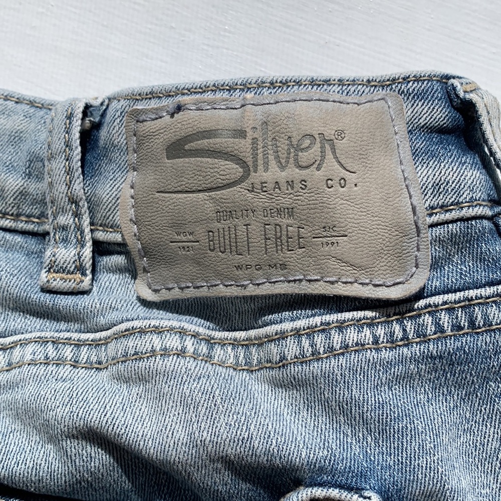 Silver Izzy - image 5